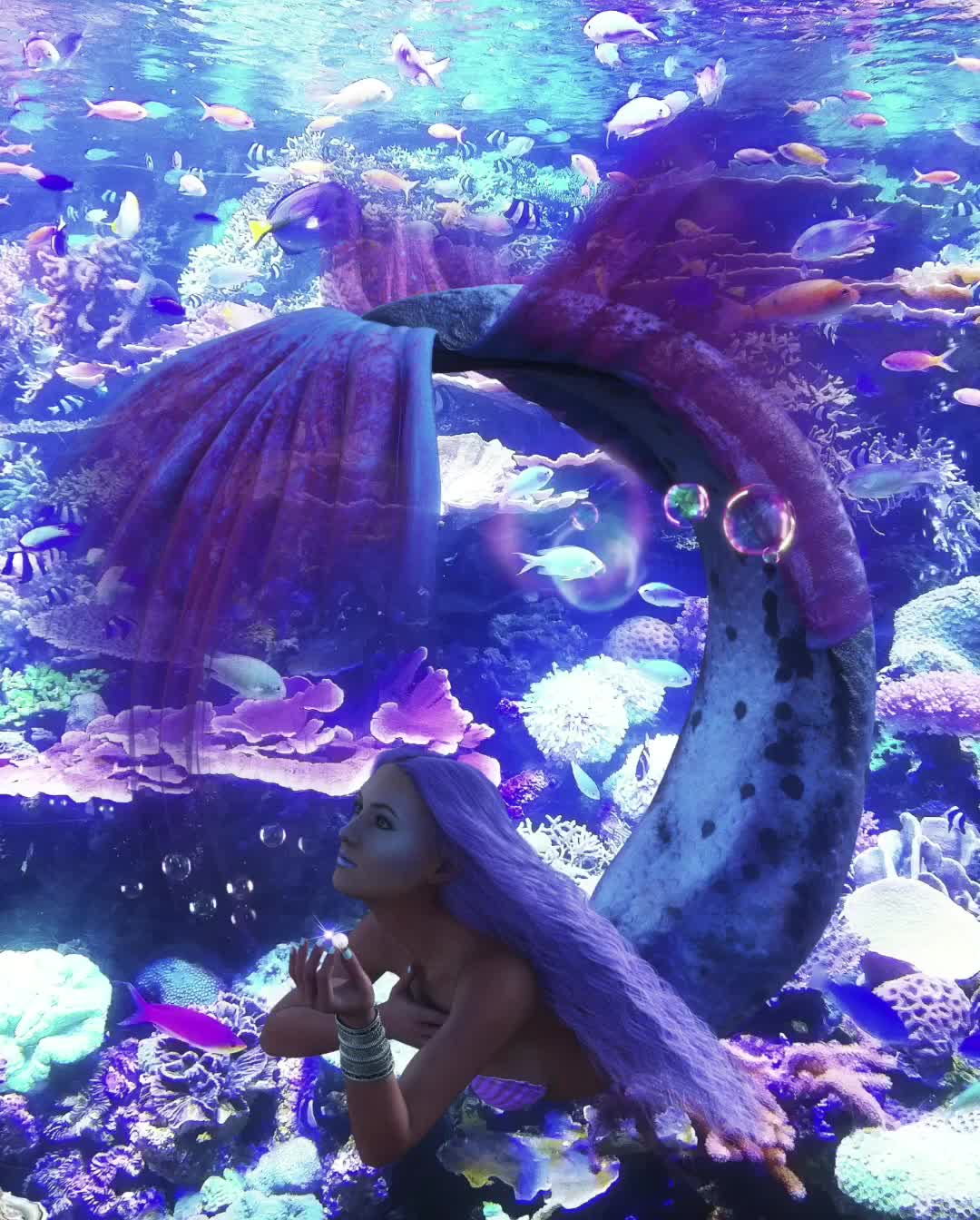 Where the real beauty lies essay picture